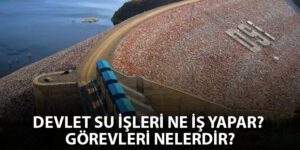 Devlet Su İşleri Personel Alım Başvuru ve Şartları