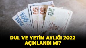 Dul ve Yetim Aylığı Başvurusu Nasıl Yapılır? Başvuru Sorgulama ve Gerekli Belgeler