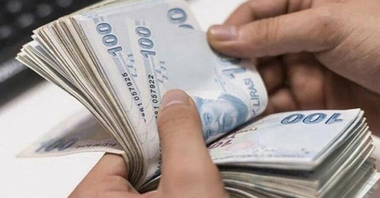 Yeni Esnafa Devlet Desteği Başvurusu ve Sorgulama