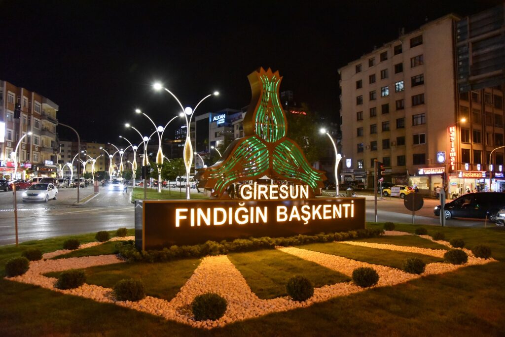 Giresun Belediyesi Yardım Başvurusu ve Sorgulama