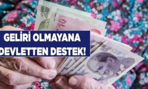 Geliri Olmayana Devlet Yardımı Nasıl Alınır? E-Devlet Başvuru Ekranı