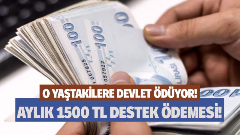 1500 TL Destek Başvurusu Nasıl Yapılır? Başvuru ve Sorgulama
