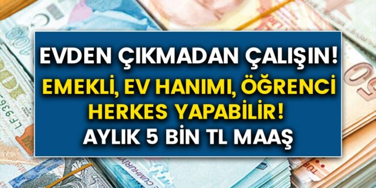 Evde Ek İş Fikirleri-Evde Ek İş Veren Firmalar