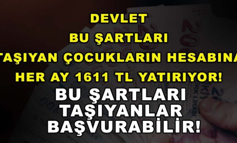 Öğrencilere 1611 TL Yardım Başvurusu, Başvuru ve Sorgulama