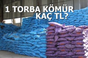 Kömür Fiyatları-1 Ton Kömür Ne Kadar?