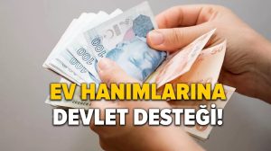 Ev Hanımlarına 1100 TL Yardım Başvurusu E-Devlet Başvuru Formu