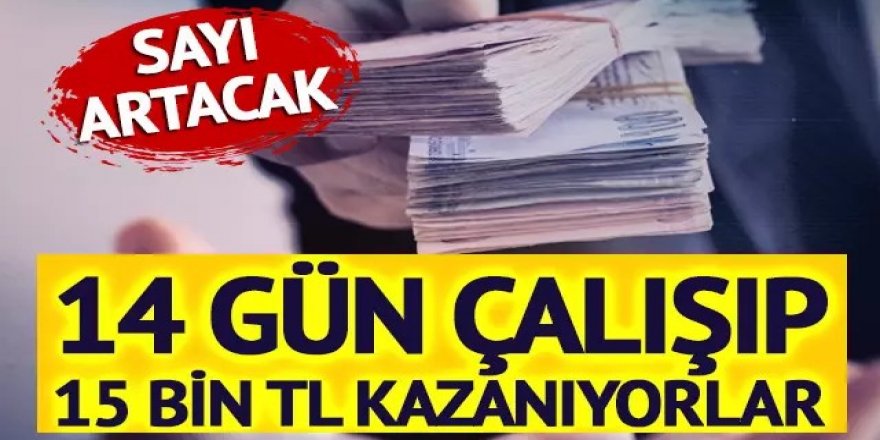 Ayda 14 gün çalışıp 15 bin 162 TL kazanıyorlar! İŞKUR Gençlik Programı Büyük İlgi Görüyor! Öğrenciler Hem İş Öğreniyor Hem Para Kazanıyor