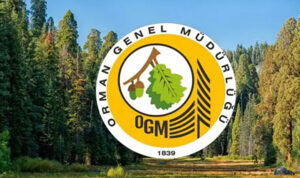 OGM 262 Kamu İşçi Alımı Başladı: En Az Lise Mezunu Başvuru Şartları